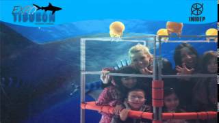 DIA 2 Expo Tiburon237