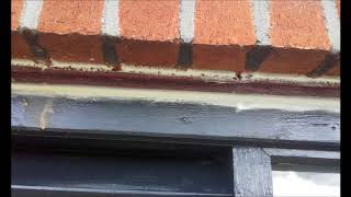 Painting a wooden garage doors