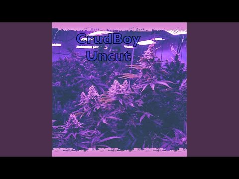 BankRoll (feat. Mike Stoner, Madebucks & Militia Chri$)