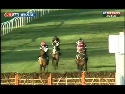 Fighting Fifth Hurdle 2012