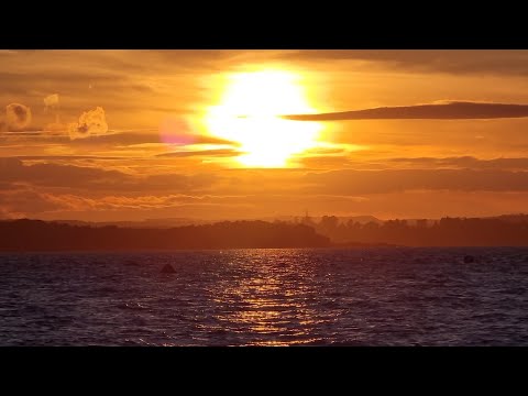 2 oceans Trevor Hall & Marieme - My 2022