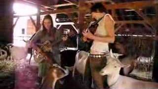 The Ditty Bops @ Redwood Hills Goat Farm: &quot;Walk Or Ride&quot;