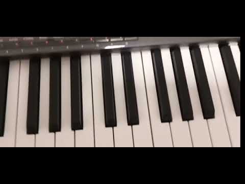 KORG PA 4X 76 KEYS ORIENTAL -BAG-STAND - Image 2