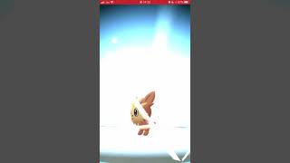 ハーデリア ポケットモンスター タブンネ ベロリンガ アマルルガ