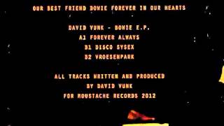 David Vunk  - Disco Sysex  (Moustache records 019)