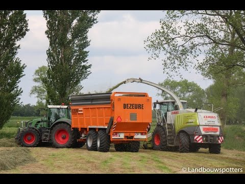 Claas Jaguar 960 gras hakselen 2016 -  Verplancke