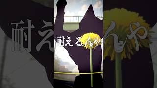 タンポポとして生きるということ / 遊んだゲーム記録