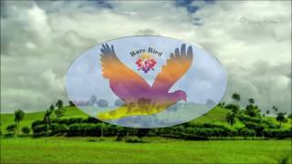 Download lagu Rare Bird Piece Of Mind mp3 Download lagu Rare Bird Piece Of Mind mp3