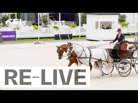 RE-LIVE |  Dressage Day 2 I FEI Driving World Championship for Pairs