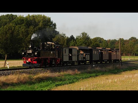 Döllnitzbahn DR 99.542 IV K Sachsenzug von 1915 von Oschatz nach Glossen am 13. 9. 2020