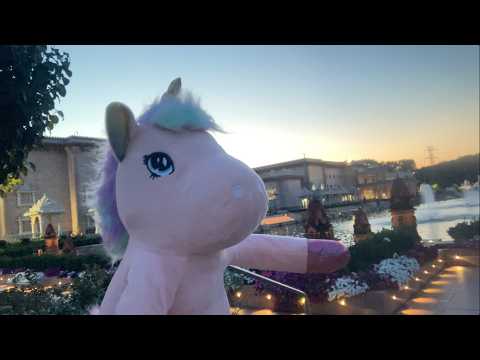 URSULA ESPLORAS NOV-ĴERZEJON