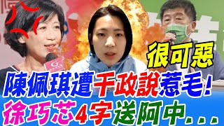 [討論] 徐巧芯：陳佩琪很有勇氣專業頭腦不懼強權