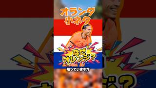 【オランダ代表小ネタ、ユニフォームがオレンジな理由】ワールドカップ日本対オランダ注目ポイント　W杯ダラスまで後1週間#サッカー日本代表#ワールドカップ