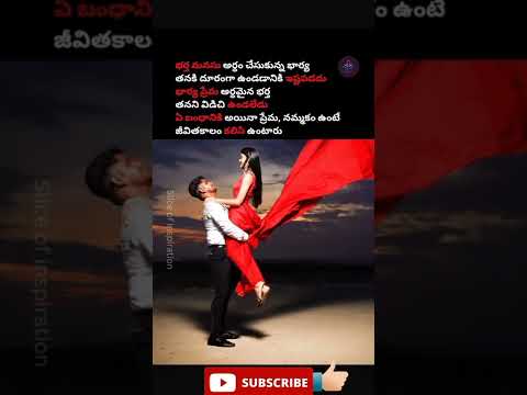 Wife And Husband Best Telugu Whatsapp Status|జీవిత సూత్రాలు|#shorts| #relationshipgoal|#manchimatalu