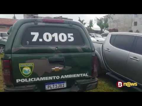 PM acaba com rinha de galo em São Gonçalo do Retiro