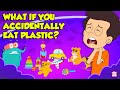 What If We Accidentally Eat Plastic How Microplastics Affect Your Health Dr Binocs Show