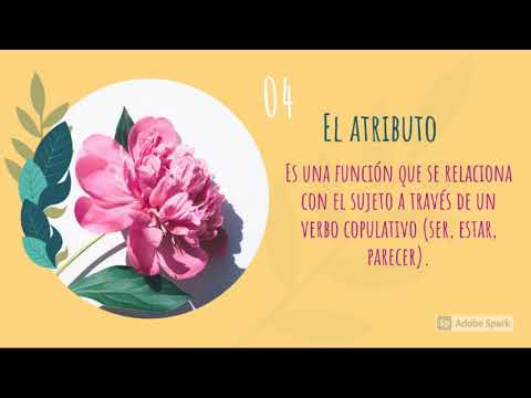 Oraciones copulativas: el atributo