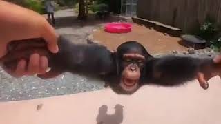 Cover art for Life Could Be A Dream