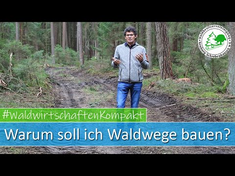 Warum soll ich Waldwege bauen bzw. verbessern? - Waldwirtschaften Kompakt