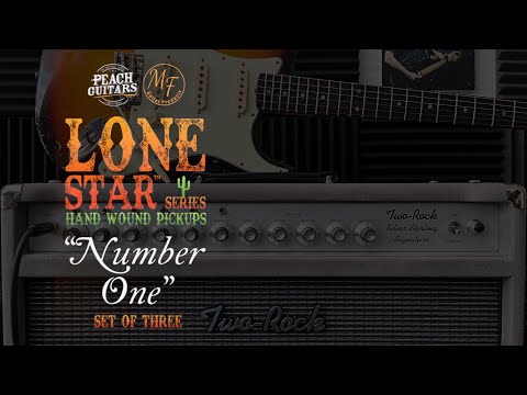 Mark Foley Lone Star Number One pickups - SRV Tone! - DEMO!