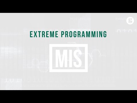 Information Systems in Life