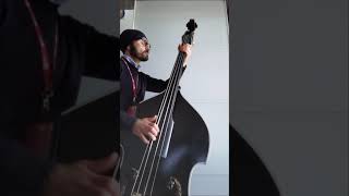 If you can&#39;t rock me - Brian Setzer Orchestra upright bass cover - Original slap bass