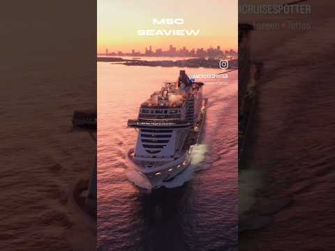 Thumbnail for SEAVIEW by @msccruises 🇲🇹#travel #vacationmode #cruise #holiday #travelling #luxury #cruiseship