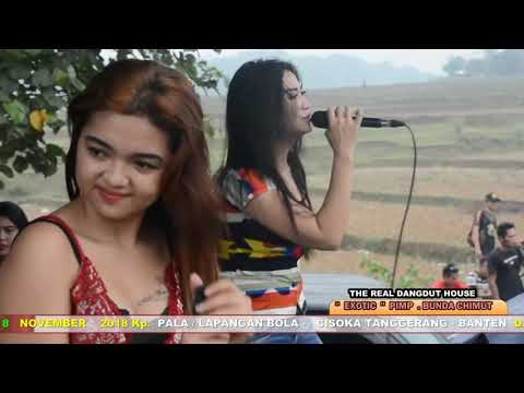 EXOTIC HOROR SELIMUT BIRU MALA FEAT SHOFY