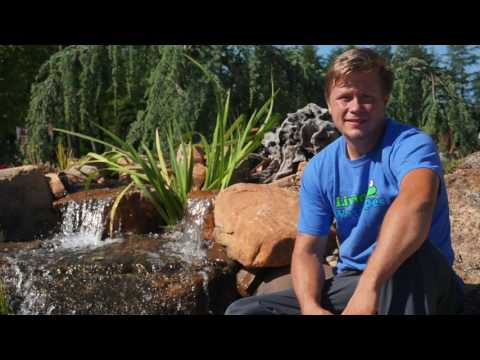 Success Story: Joe Phagan of Living Waterscapes