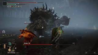 【PS5】エルデンリング DLC #3 実況なし