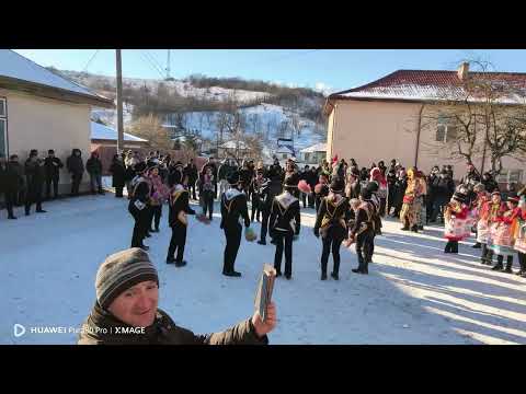 @Capra de la Băhnășeni 2025