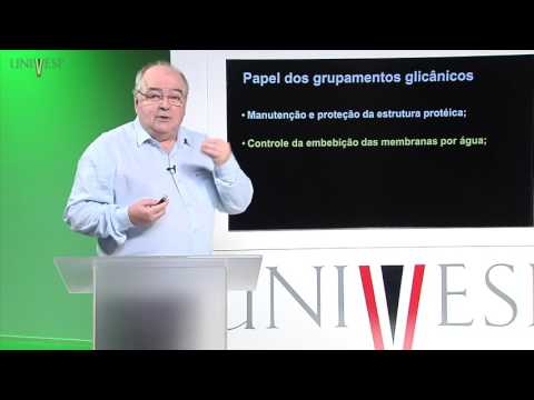 Células e Tecidos - aula 2 - Carboidratos e Lipídios