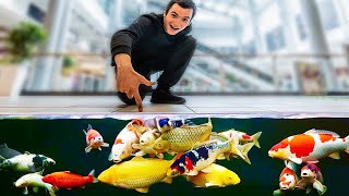 This Shopping Mall Floats On A Lake Full Of Giant Koi Fish!