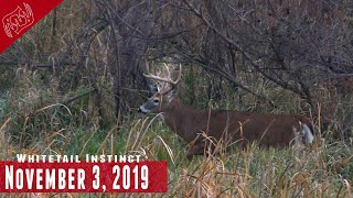 Rut Hunting Marsh Terrain:  Hunting Over Fresh Scrapes