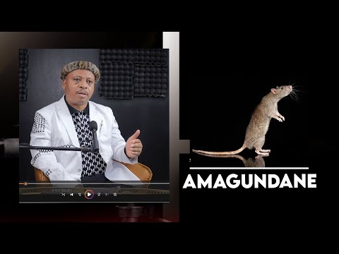 Amagundane  | Babu Dokotela