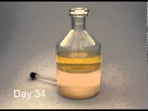 Diesel Fuel Contaminated