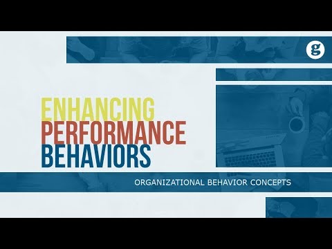 What is Organizational Behavior