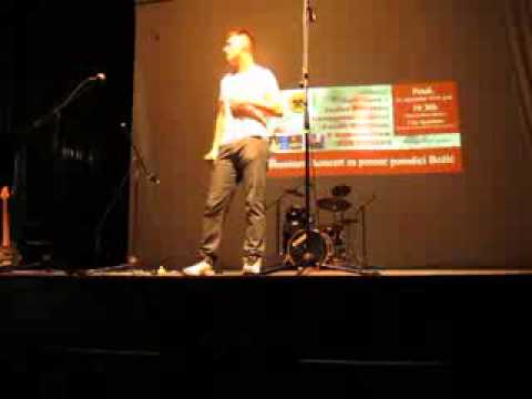 ALEKSANDAR LJUBICIC - Nije ljubav stvar