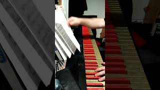 Paul Simon (karaoke cover) satin summer nights