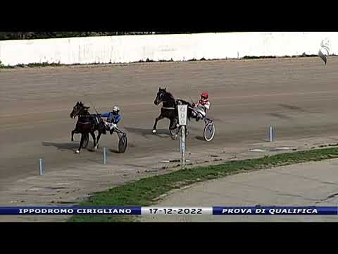 Aversa trotto 17 Dicembre 2022 - Prova di qualifica