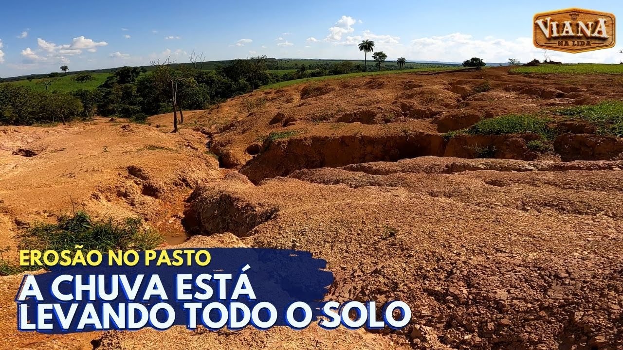 EROSÃO NA FAZENDA, PORQUE ACONTECE E COMO VAMOS RESOLVER