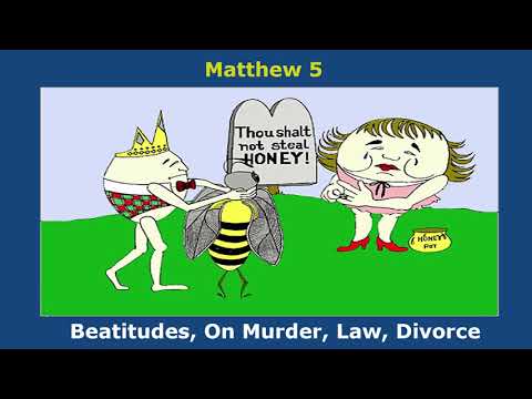 Matthew 1- 28 with Biblical Explanations:  Picture Scripture Bible Memory System