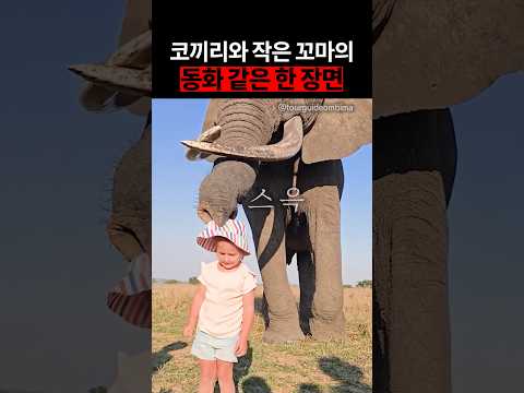 코끼리와 작은 꼬마의 동화 같은 한 장면