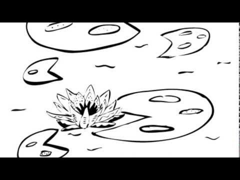 Instrumental Background Music | Water Lily (Piano Study Music)