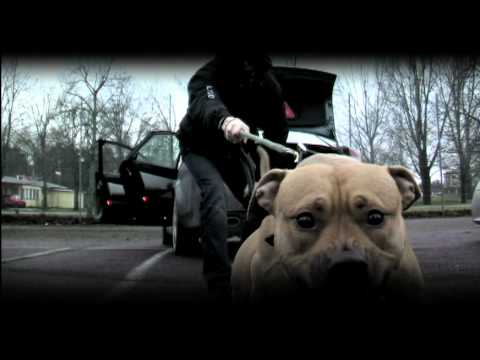 Kartellen ft Jacco - PrOGramrebeller (Official Video)