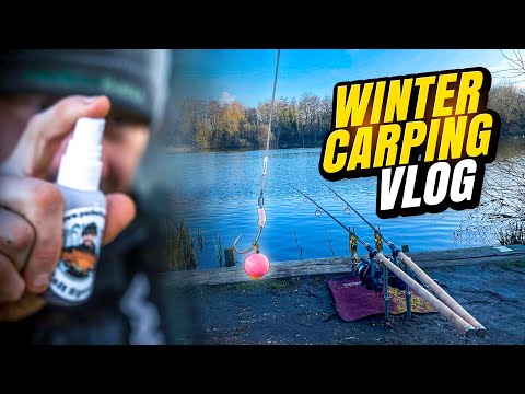 Local Park Lake Winter Carp Fishing 24-Hour Session with Ben Parker