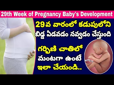 గర్భం 29వ వారం | 29th Week of Pregnancy Symptoms Changes & Baby Development | 29th Week of Pregnancy