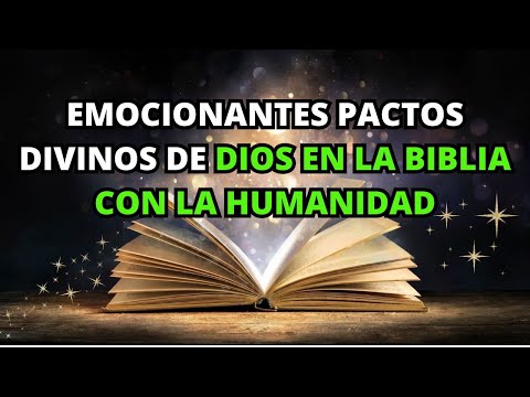 God's Exciting Divine Covenants with Humanity in the Bible | The Bible Explains It