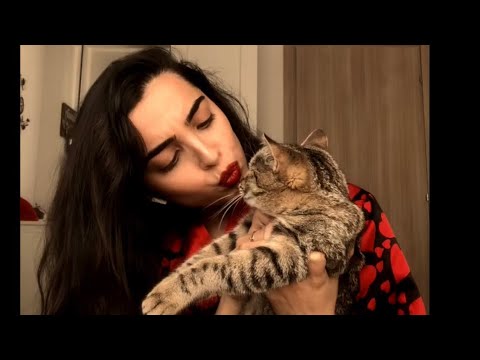 Titanium jazz cover by Bianca Mihai