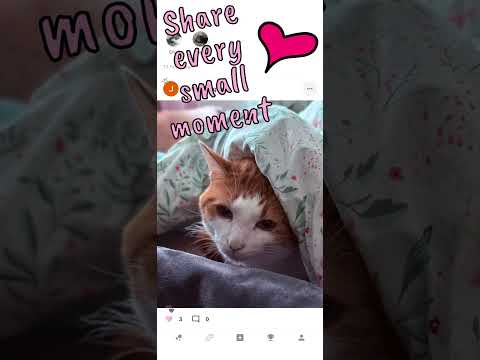 HappyPet – Pet Community video thumbnail
